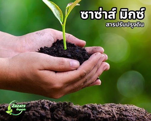 ซาซ่าส์ มิกซ์ (สารปรับปรุงดิน)