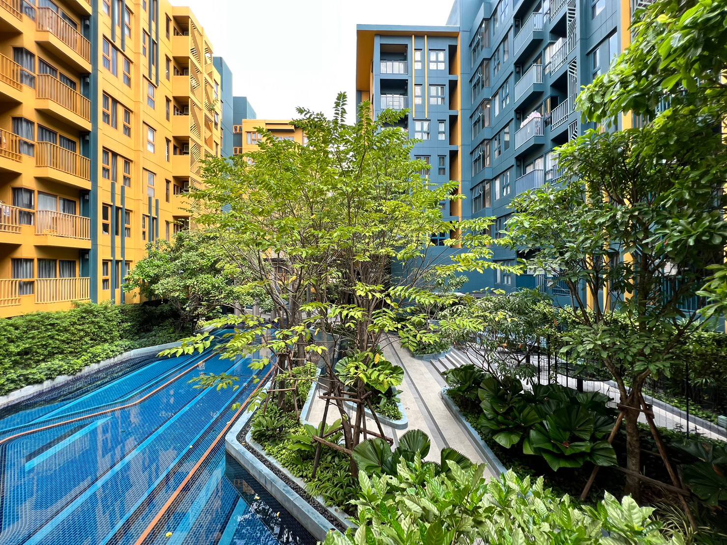 ขายเดอะ เบส สุขุมวิท 50 ขนาด 2 ห้องนอน บีทีเอส อ่อนนุช