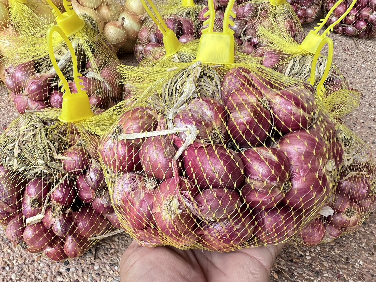 หอมแดง 1 กก. หอมแดงอินทรีย์ หอมแดงออแกนิค บ้านสวนพราวตะวัน