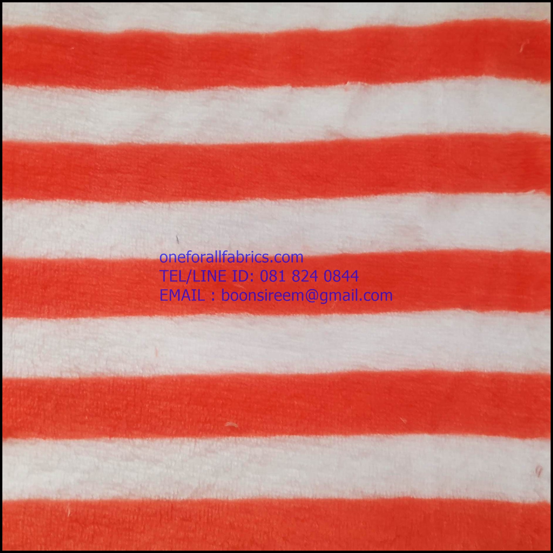 ผ้าขนสั้นสองหน้าลายวงกลมใหญ่สีสด coral fleece print ผ้าทำผ้าห่ม ผ้าทำหมอน ผ่้าทำเสื้อคลุม ผ้าทำเสื้อหนาว หน้าผ้า 62'