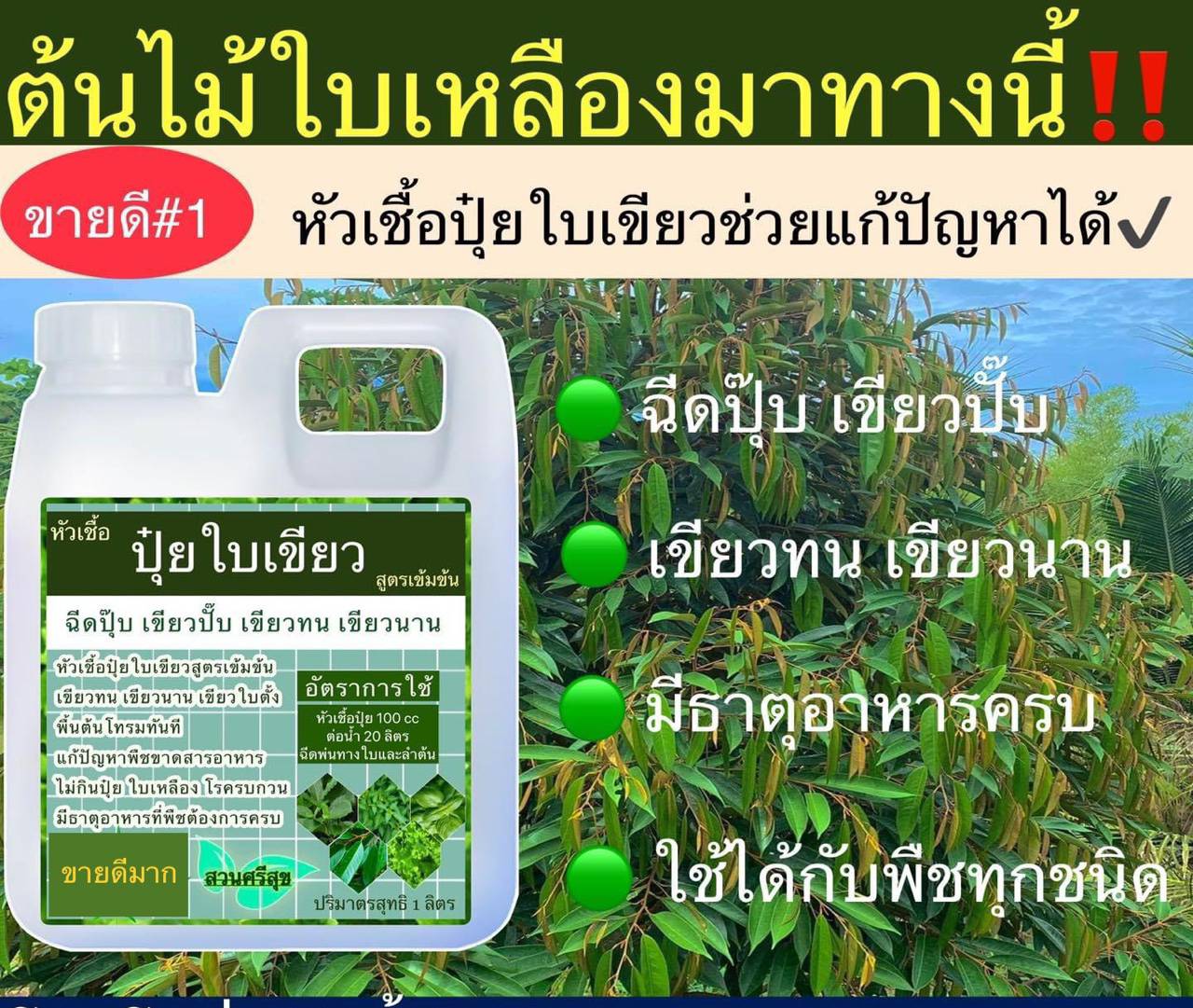 หัวเชื้อปุ๋ย ต้นไม้เหลืองมาทางนี้ จ้า พิเศษ 1 แถม1 จ้า