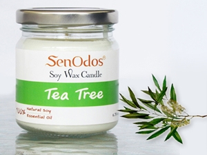 SenOdos เทียนหอม อโรม่า เทียนหอมสปา Tea Tree Scented Soy Candle Aroma 190 g. -กลิ่นทีทรีออยล์แท้