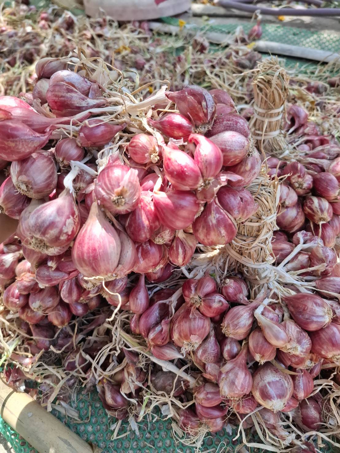 จัดโปรหอมแดง 5 กก. หอมแดงออแกนิค บ้านสวนพราวตะวัน