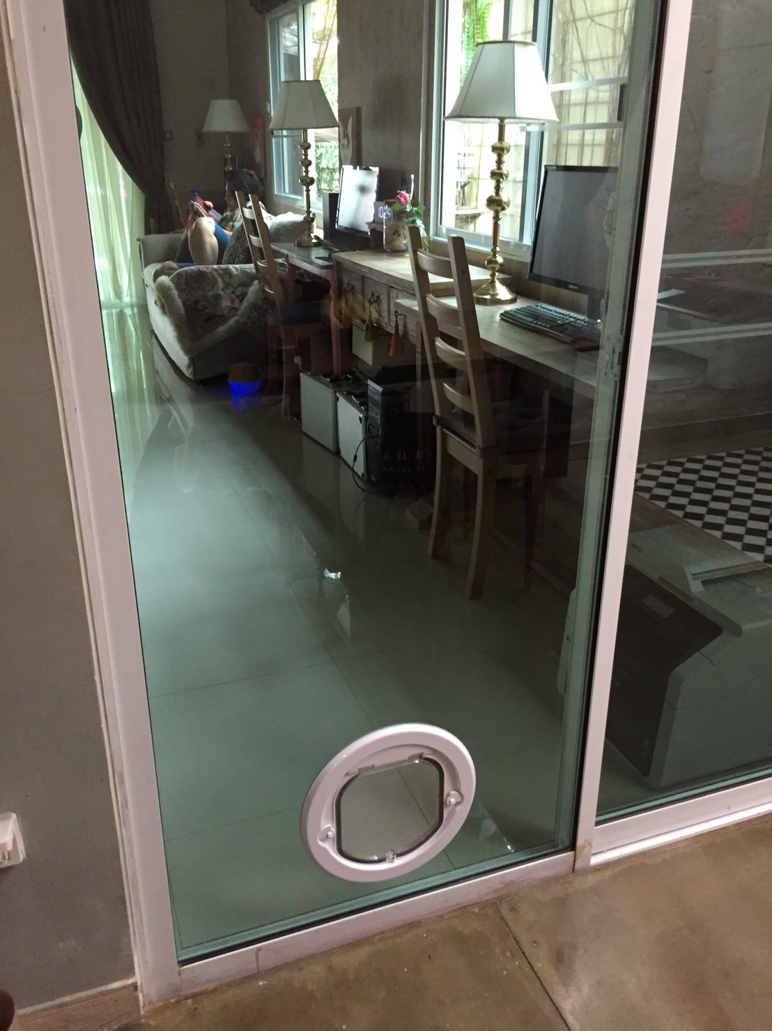 Door for pet ประตูแมว