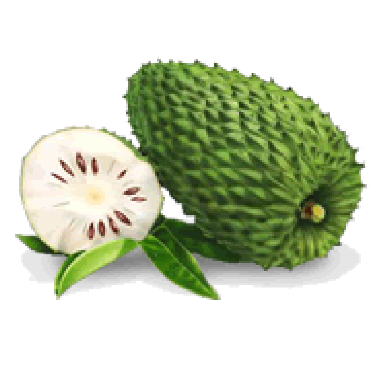 ใบทุเรียนเทศ 100% ชนิดแคปซูล 3+1 กระปุก แถม ชาใบทุเรียนเทศ ขนาด 5 ซอง 1 ห่อ