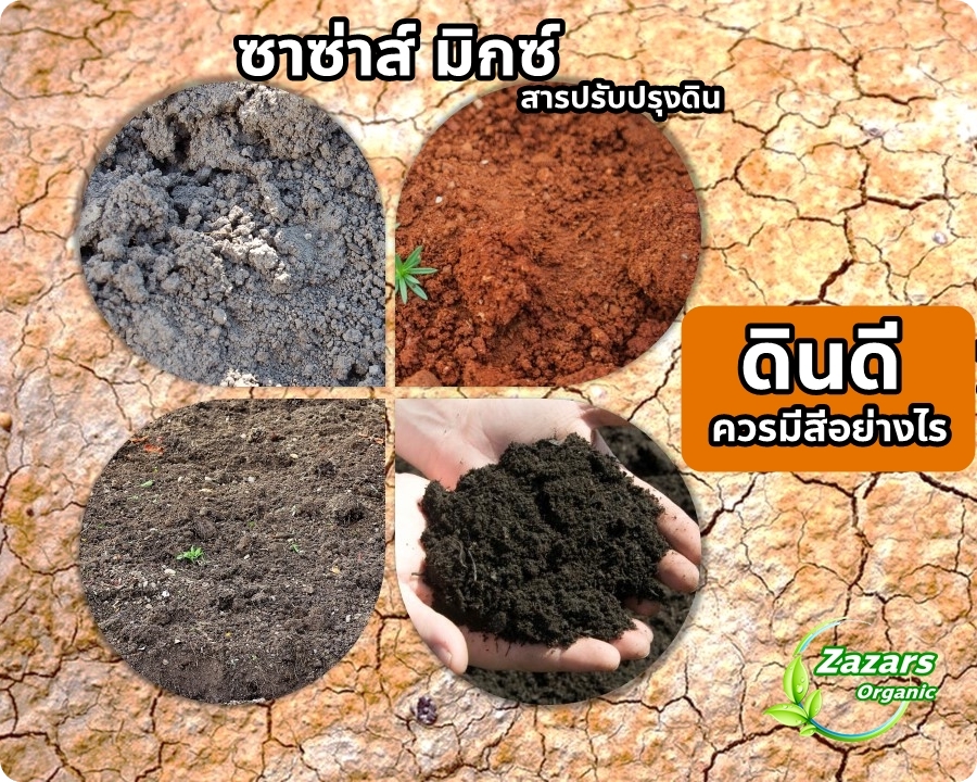 ซาซ่าส์ มิกซ์ (สารปรับปรุงดิน)