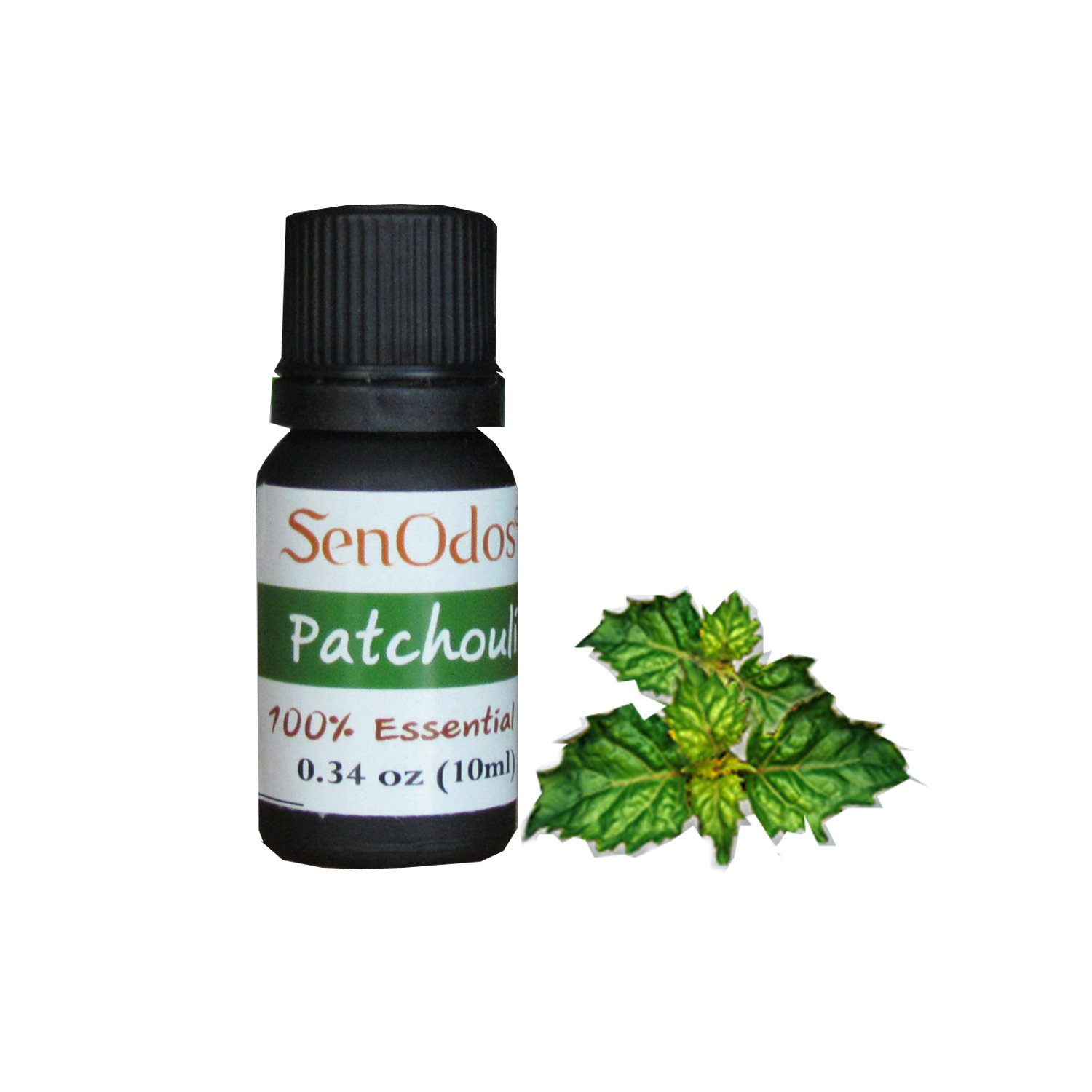 ชุดเซ็ตน้ำมันพร้อมเตาเผา (กลิ่นแพทชูลี่) 10ml. + เตาเผาน้ำมันหอมระเหย เซรามิค เครื่องปั้นดินเผา เนื้อศิลาดล สีเขียวหยก ลวดลายใบมะกอก และลายน้ำไหลหลากสีสวยงาม (แถมฟรี!! เทียนไขถั่วเหลืองบริสุทธิ์ 15 g. X 2 ชิ้น ราคา 120 บาท)