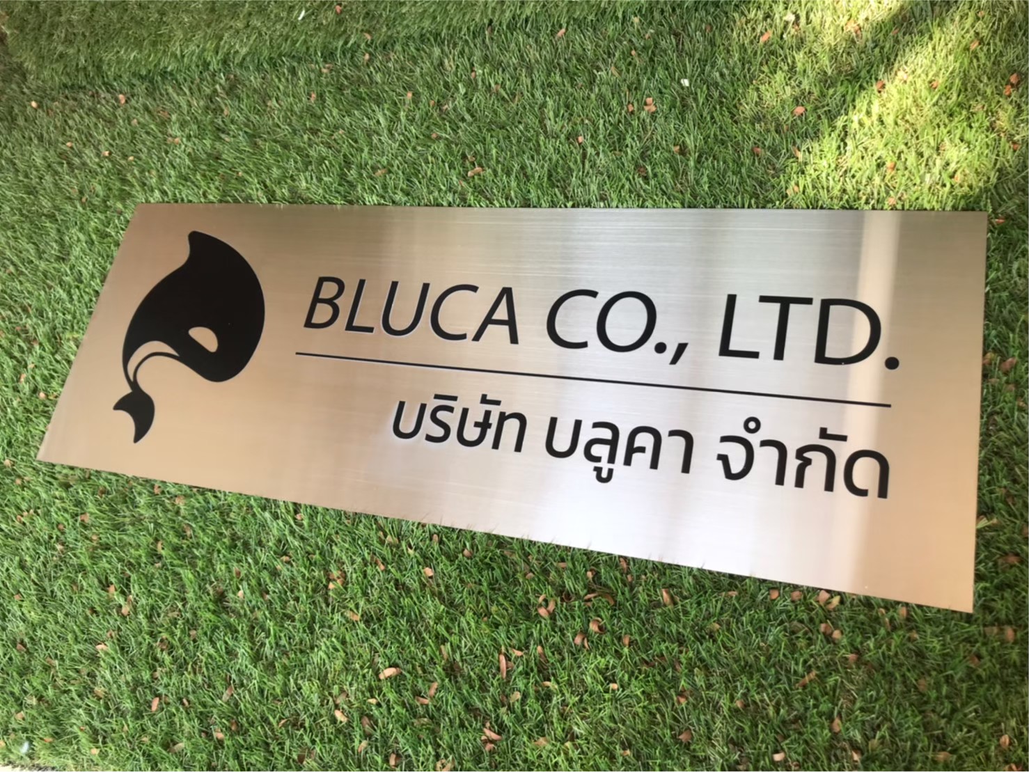 ป้ายสกีน