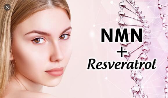 Levante NMN 22050 Premium+Resveratrol เอ็นเอ็มเอ็นและเรสเวอราทรอล ชะลอวัย บริสุทธิ์100% (NMN 735 มก.ต่อวัน) แคปซูลพิเศษขนาดเล็กที่ทนต่อกรด 30วัน