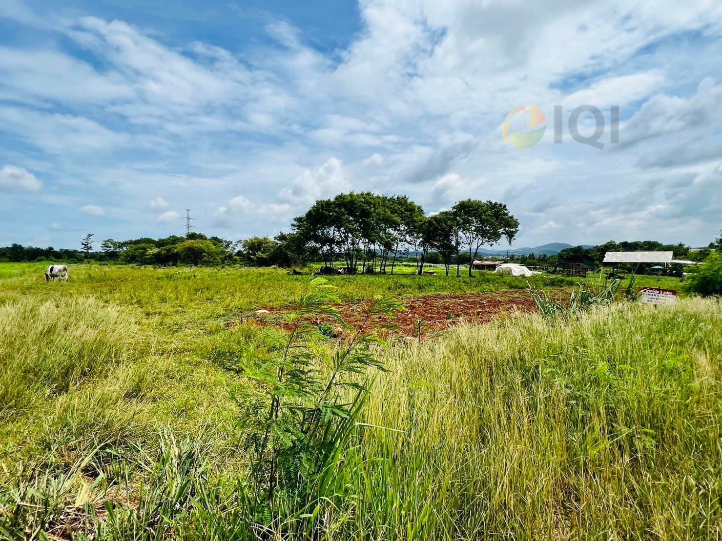 ขายที่ดิน วิวภูเขา เนื้อที่ 5ไร่ 2 งาน 81 ตารางวา ฮวงจุ้ยมังกรหลังพิงเขา