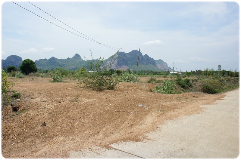 ที่ดิน 50-2-55ไร่ พื้นที่สีแดง ใกล้โรงเรียนบ้านเนินรัก หนองชุมพล เขาย้อย เพชรบุรี