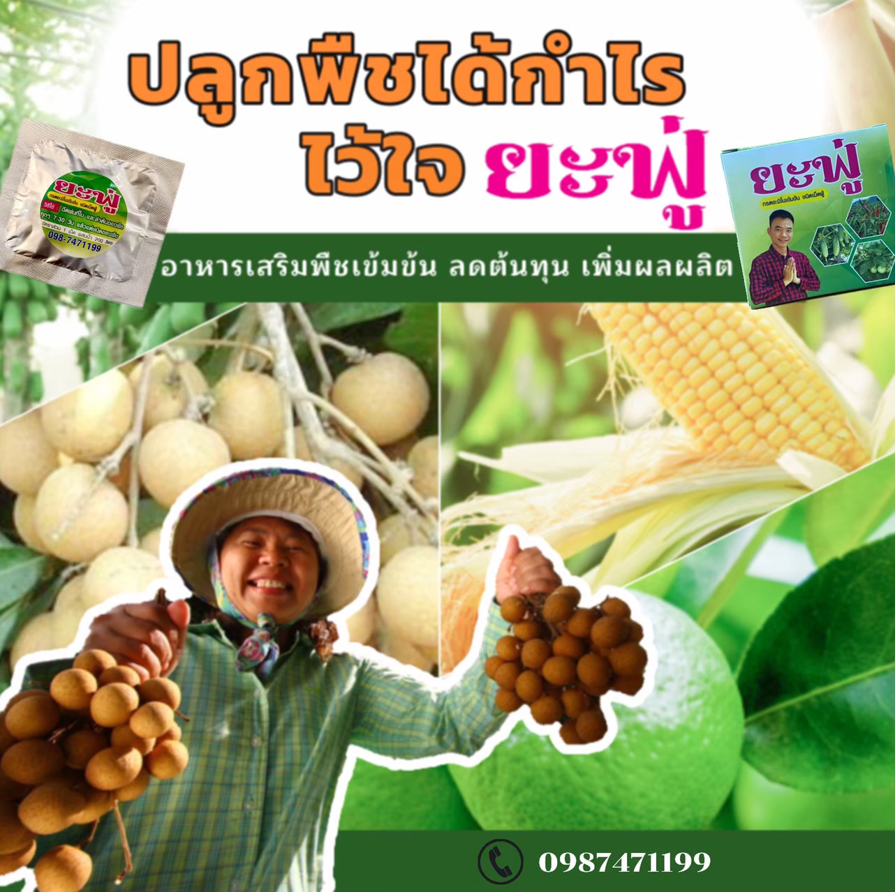 ยะฟู่ กรดอะมิโนจำเป็น สูตรเข้มข้น ชนิดเม็ดฟู่