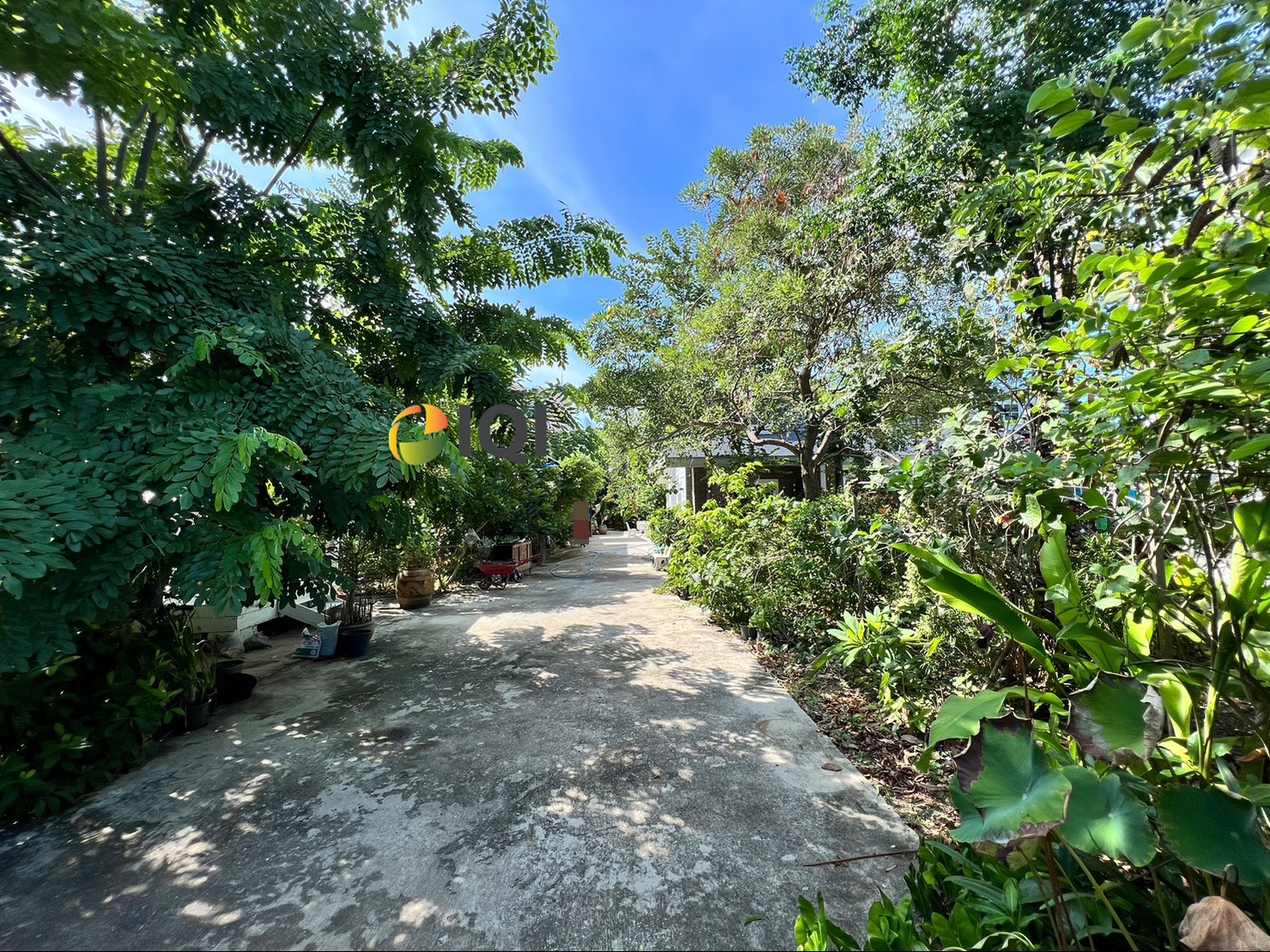 ขาย บ้านเดี่ยวปลูกสร้างเอง สุขุมวิท 107 ซอยแบริ่ง 41 ใกล้ BTS แบริ่ง