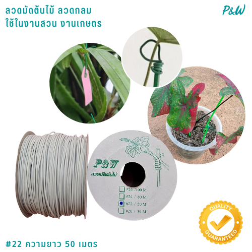 ลวดมัดต้นไม้ ลวดผูกต้นไม้ ลวดขึงสแลน ลวดเพาะชำ ลวดผูกป้าย ลวดบอนไซ ลวดคล้องป้าย ลวดมัดงานเกษตร ลวดลวดมัดสแลน หุ้มแบบกลม-บจก.พลาสติกแอนด์ไวร์โปรดัก WT22-03