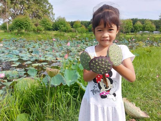 ฝักบัวสดพันธุ์พื่้นบ้าน 9-10 ฝัก หอมหวาน อร่อยมากคคับ