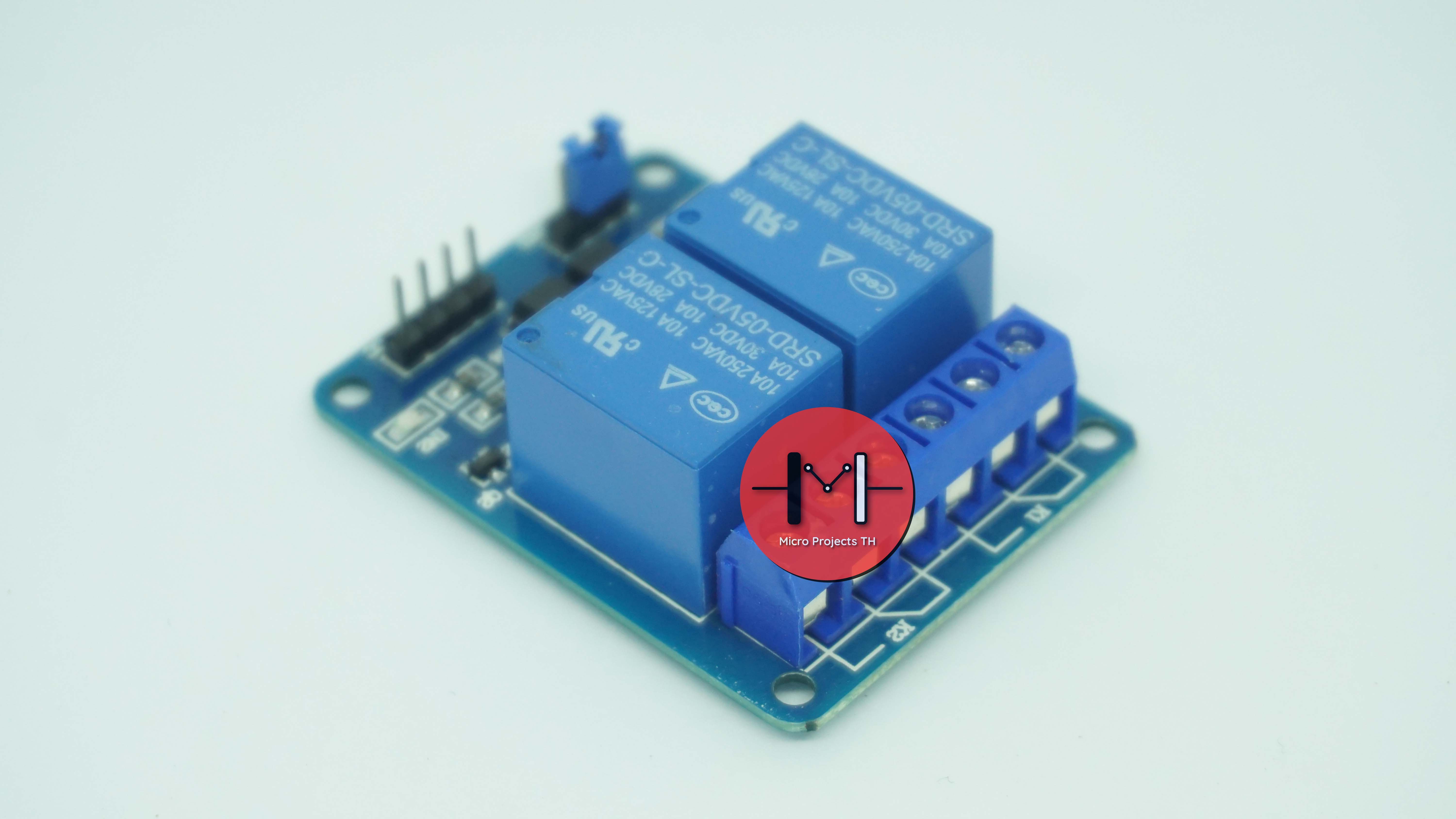 Module Relay 2 Channel 5V 250V/10A