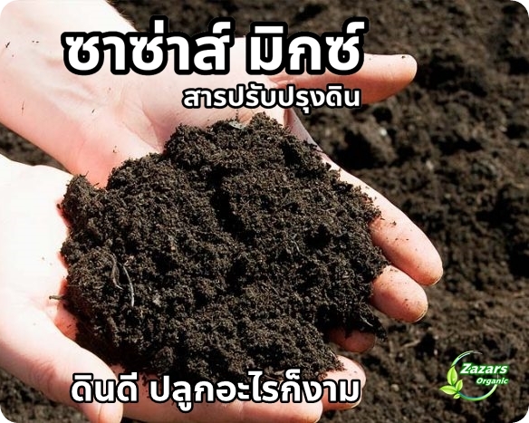 ซาซ่าส์ มิกซ์ (สารปรับปรุงดิน)