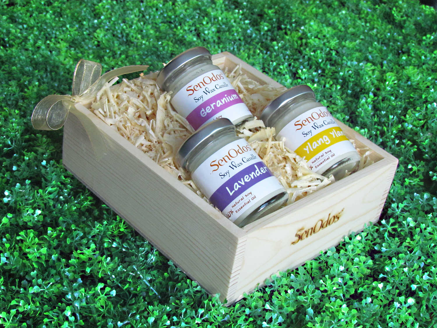 SenOdos ชุดของขวัญ ชุดกิ๊ฟเซ็ท Gift Set เทียนหอมอโรม่า ชุดกลิ่นหอมดอกไม้น่าหลงใหล Floral Fascinate Set 45g x3กลิ่น (กลิ่นลาเวนเดอร์ ,กลิ่นเจอร์เรเนียม, กลิ่นกระดังงา) บรรจุในกล่องไม้สน รูปทรงเหลี่ยม สวยงาม คุณภาพดี นำเข้าจากนิวซีแลนด์