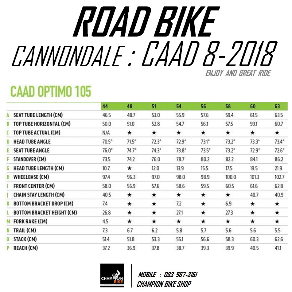 จักรยานเสือหมอบแคนนอนเดล CANNONDALE : CAAD 8 - 2018 ROAD BIKE