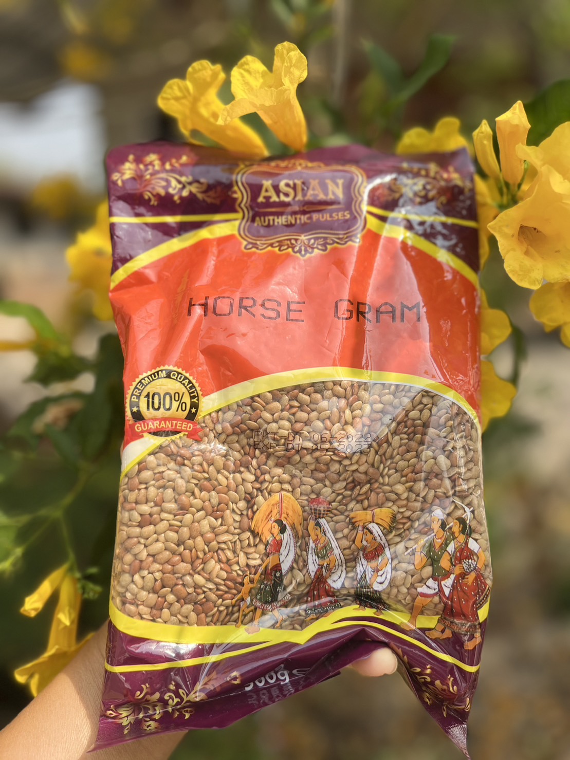 ถั่วม้า หรือถั่วHorse gram 500 กรัม