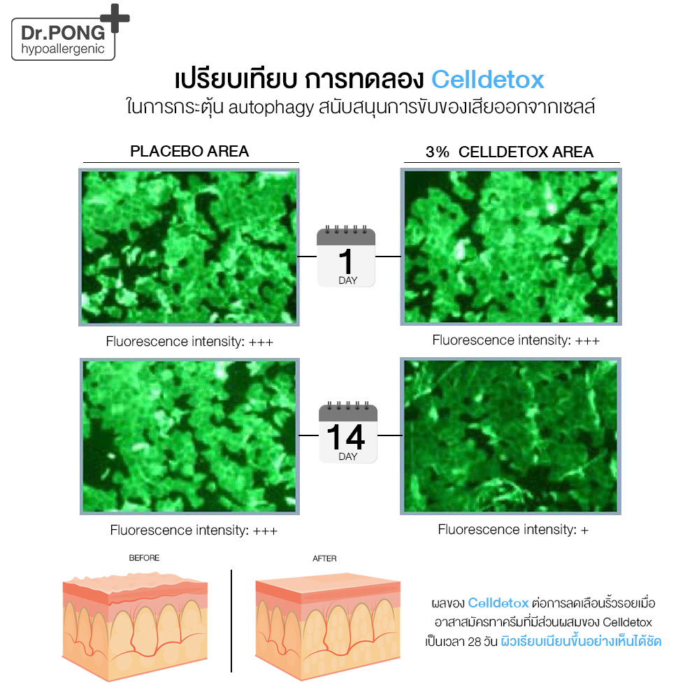 Dr. Pong Advanced Skin Detoxifying Cream - ครีมพักหน้า ครีมบำรุงผิวหน้า ครีมหน้าใส ครีมลดริ้วรอย
