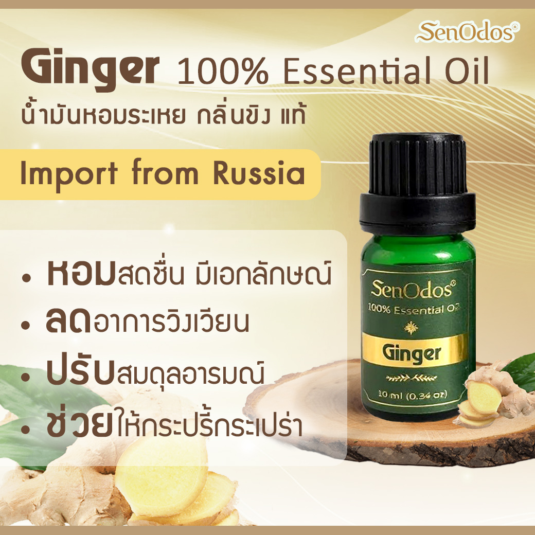SenOdos น้ำมันหอมระเหยแท้ กลิ่นขิง Ginger Essential Oil 10ml