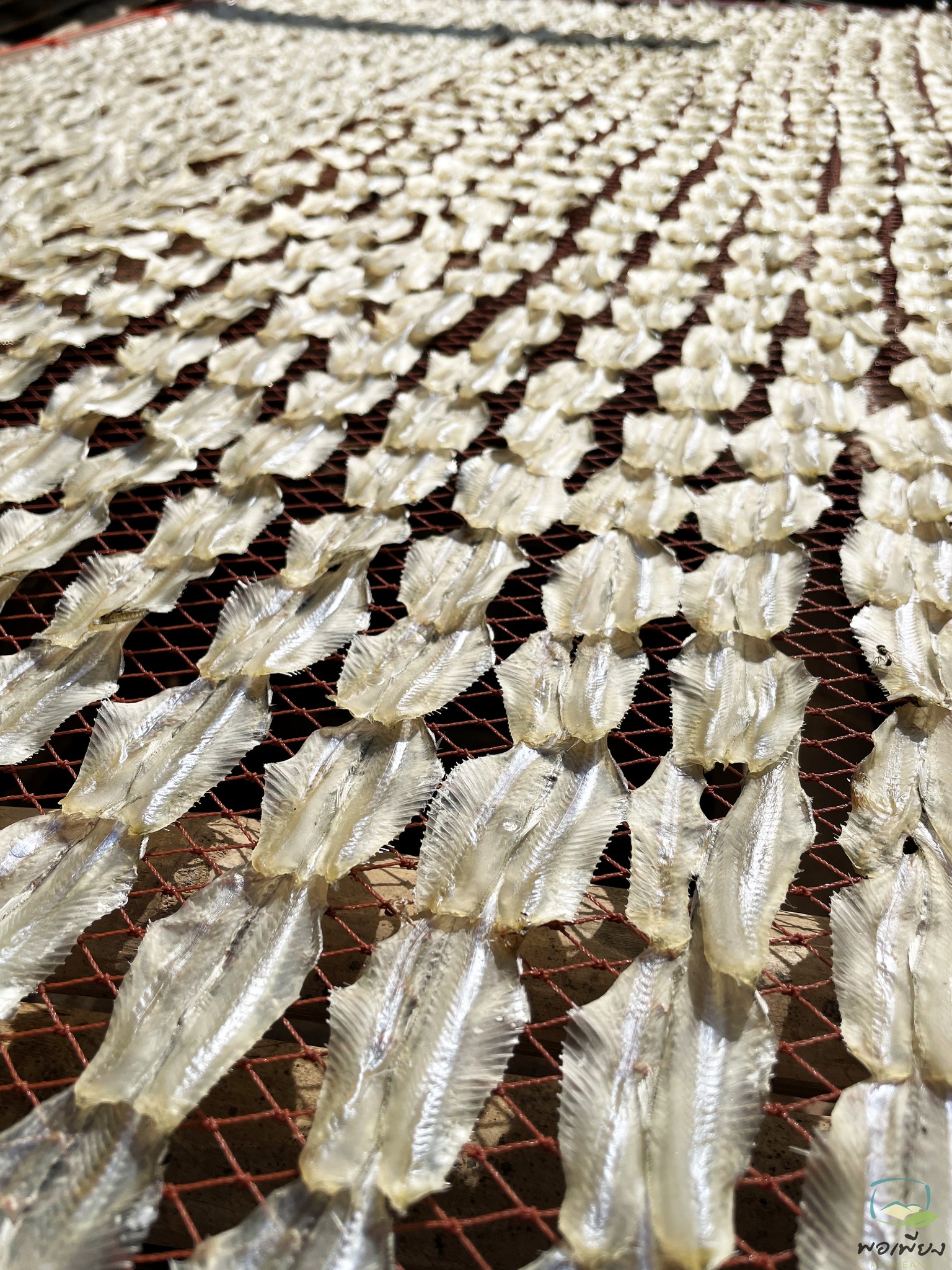 ปลาเกล็ดขาวผ่า ตากแห้ง สั่งทำพิเศษ