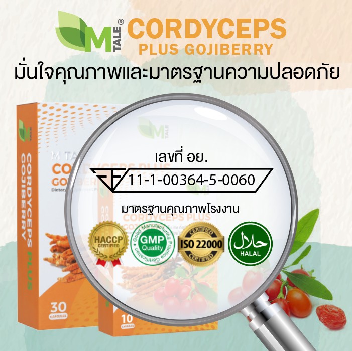 ดูแลวัยทองทุกอาการ M Tale Cordyceps Plus Gojiberry (30 แคปซูล)