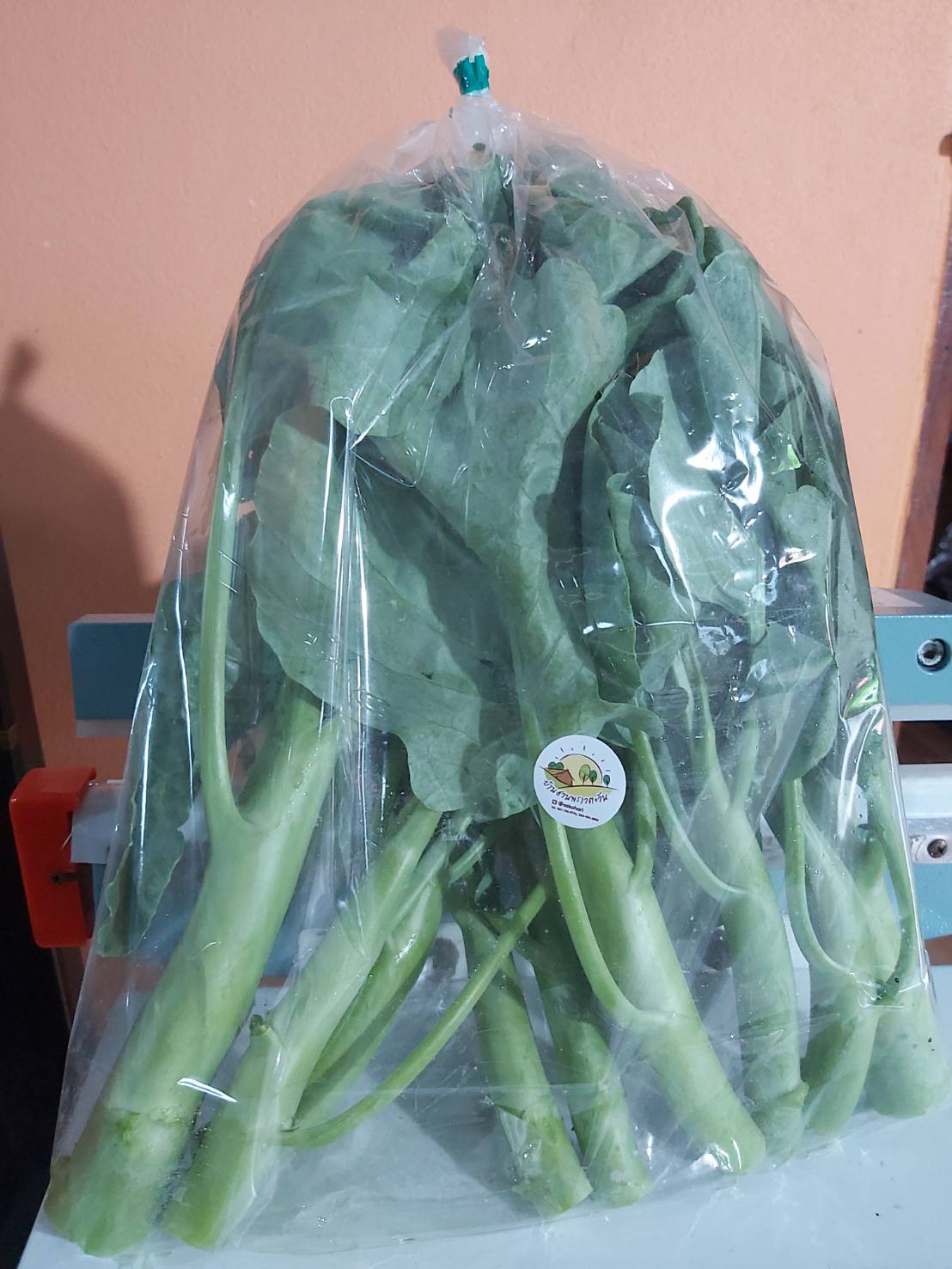 ผักคะน้าออร์แกนิค 100% บรรจุ 500 กรัม