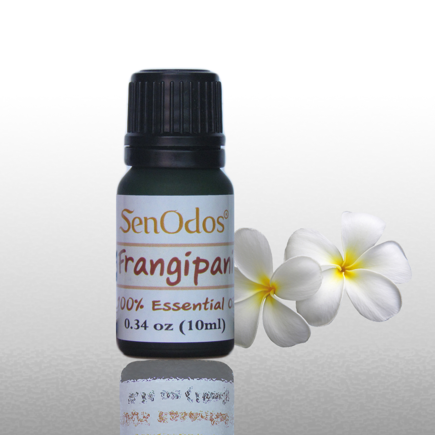 SenOdos น้ำมันหอมระเหยแท้ กลิ่นแฟรงจิ แพนิ (ลีลาวดี) Frangipani Essential Oil 10ml