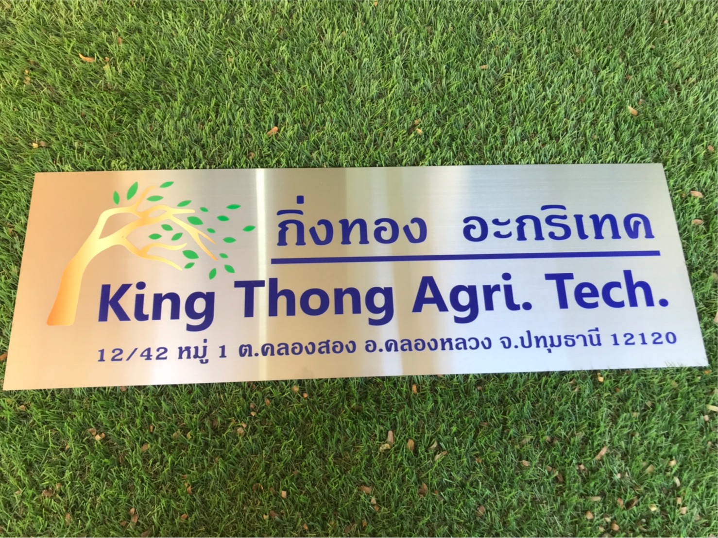 ป้ายสกีน