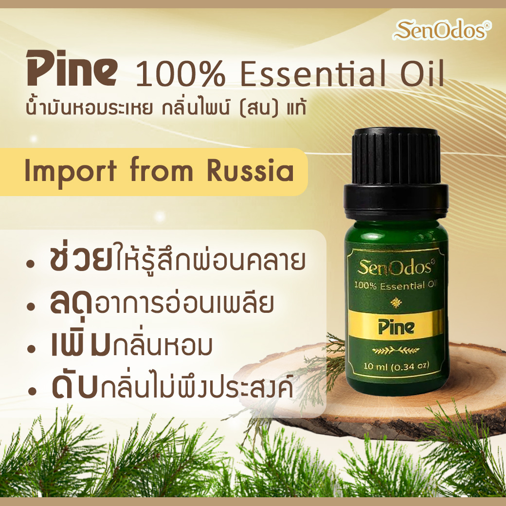 SenOdos น้ำมันหอมระเหยแท้ กลิ่นไพน(สน) Pine Essential Oil 10ml
