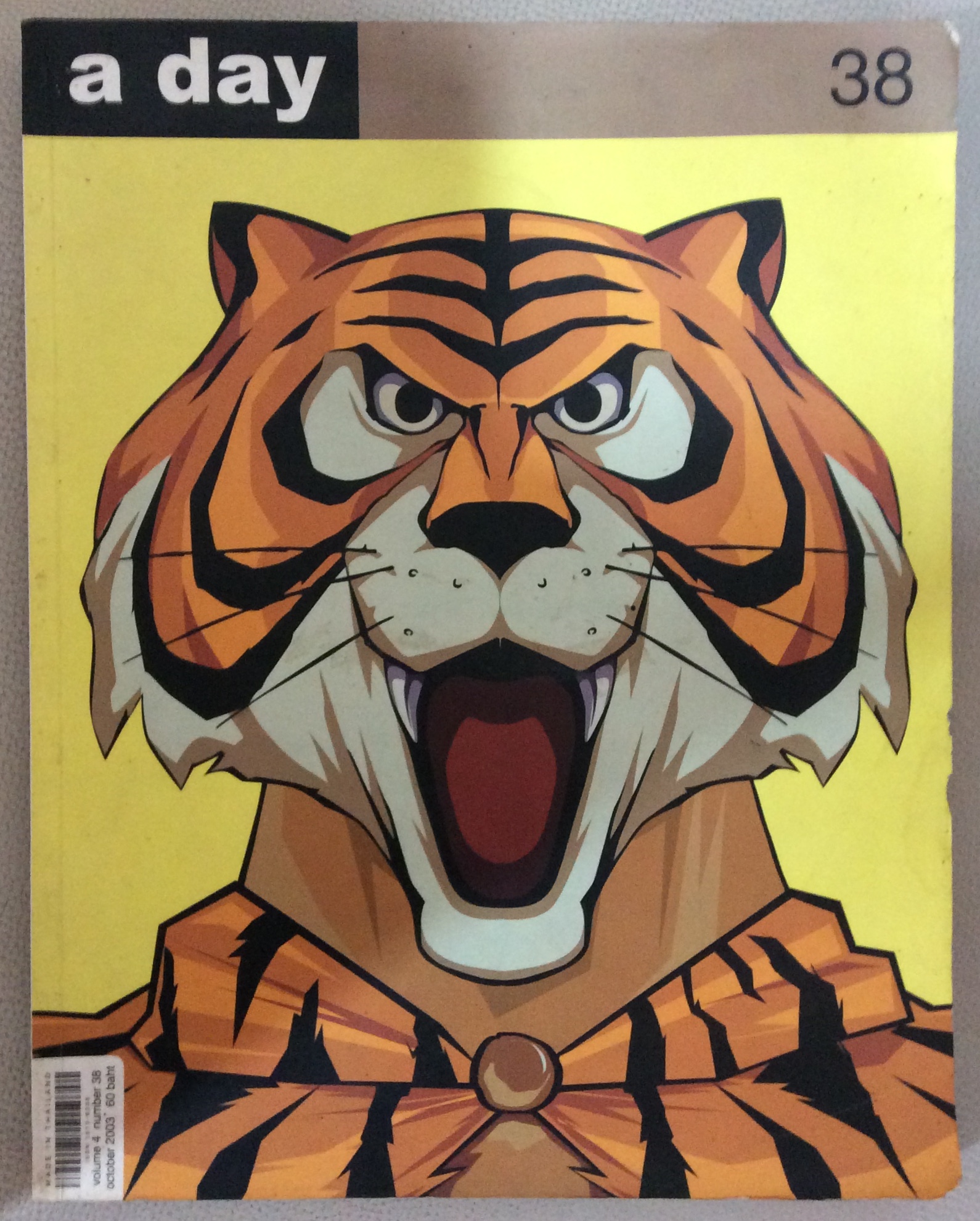 ปกหน้ากากเสีือ
