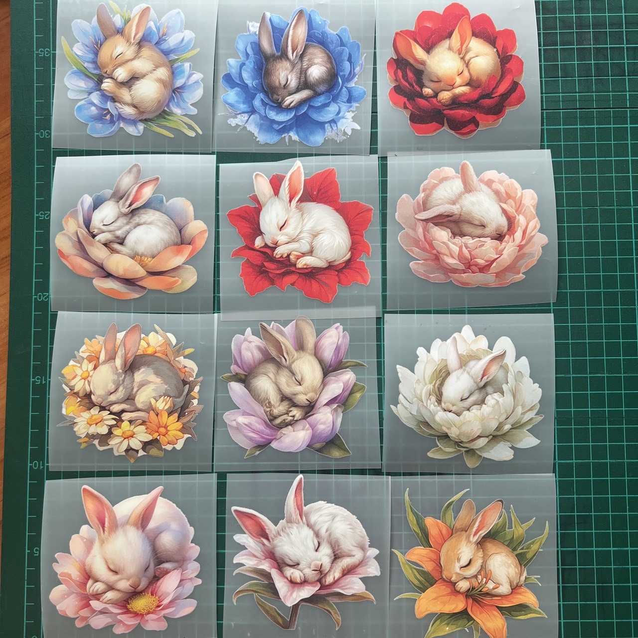 ตัวรีดติดเสื้อ กระต่ายน้อย ฟิลม์รีดร้อน พิมพ์ลาย สติกเกอร์รีดติดเสื้อ สกรีนลาย ฟิลม์ DFT DTF