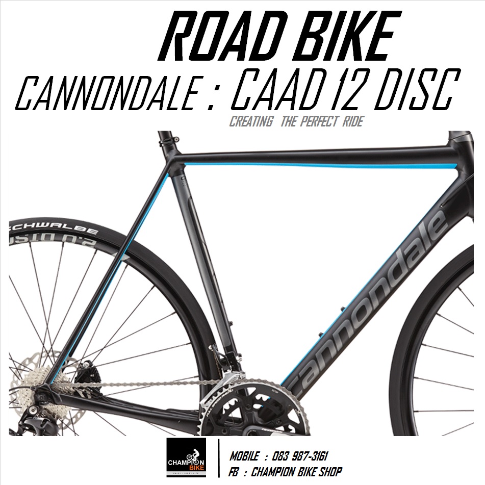 จักรยานเสือหมอบ CANNONDALE : CAAD12 DISC - 2016 ROAD BIKE