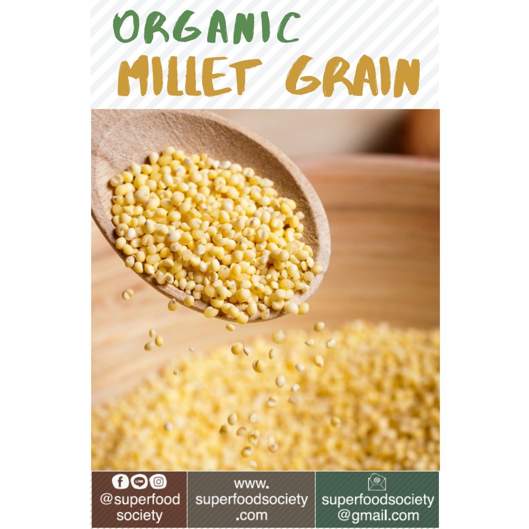 เมล็ดข้าวฟ่าง ออแกนิค 1 กก. / Organic Millet grain 1 kg