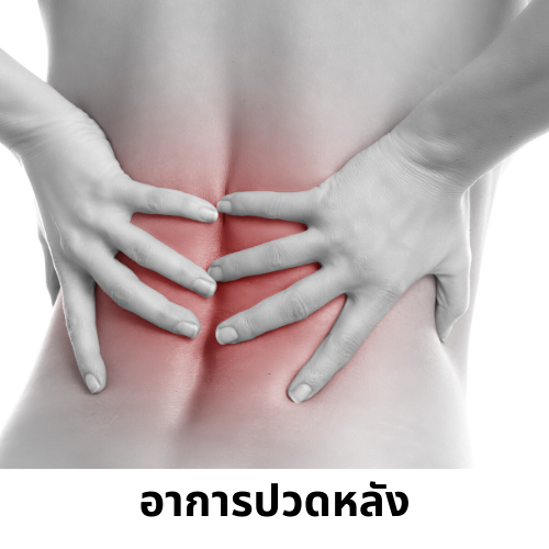 ปวดหลัง ปวดหลัง