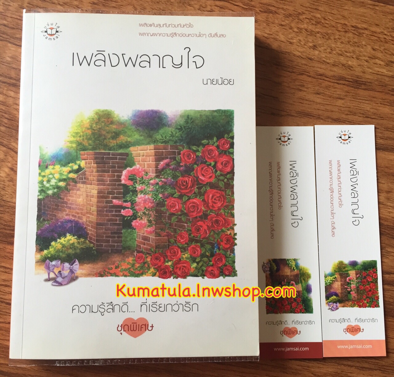 เพลิงผลาญใจ / นายน้อย