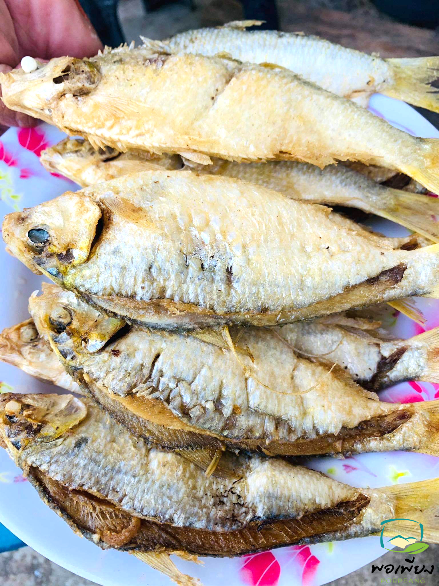 ปลาโคบเส้น 1แพค 150 บาท