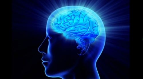 หมามุ่ยอินเดียผง 1,000 กรัม