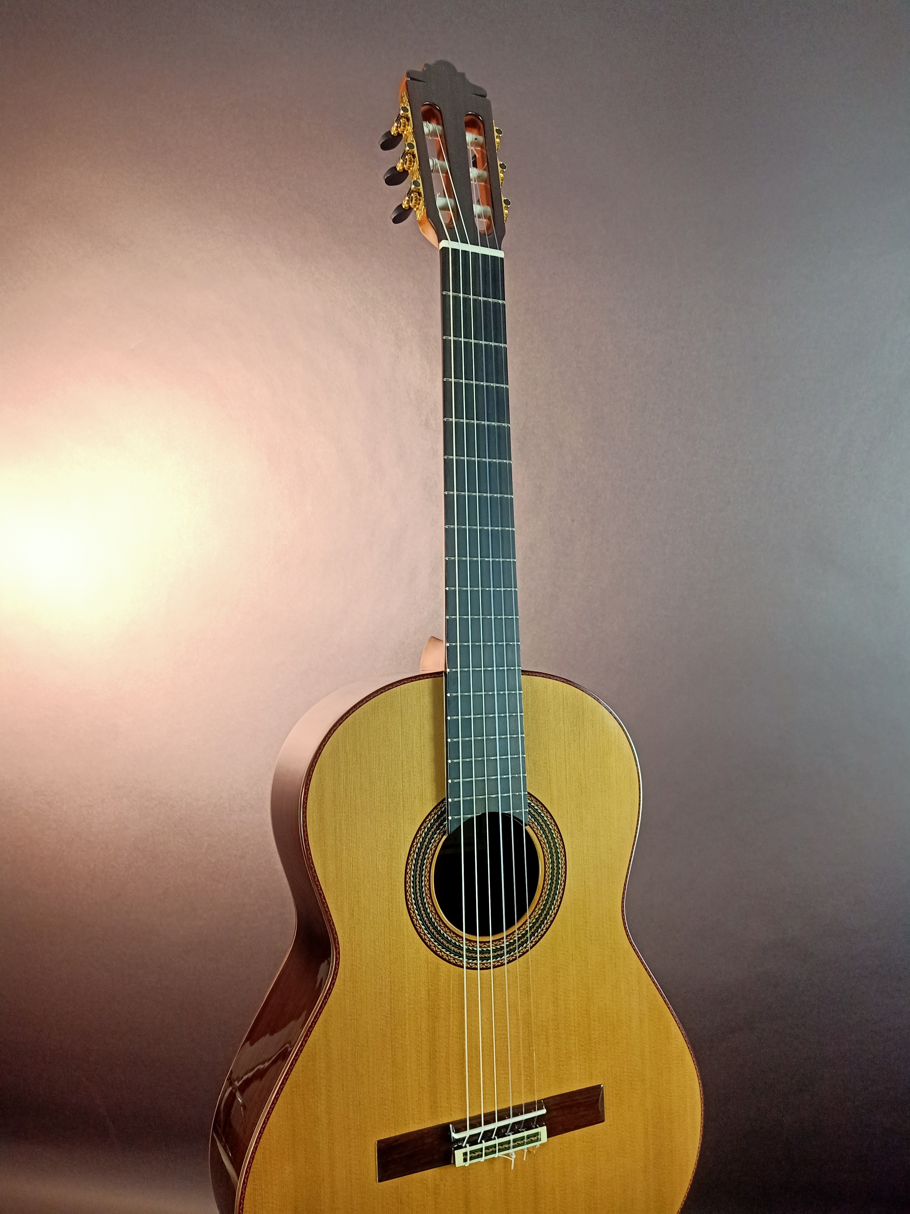 Altamira model N600