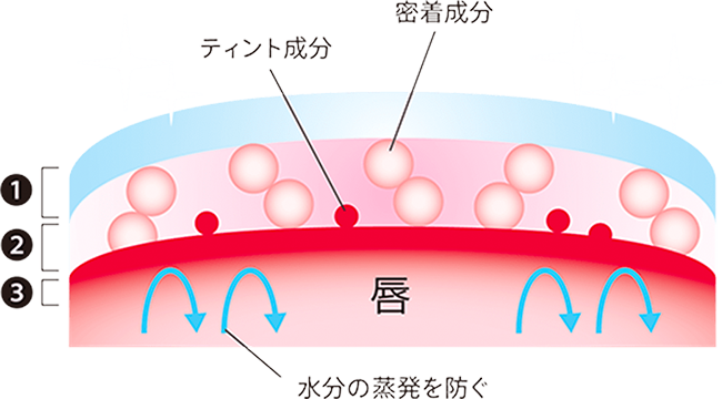 Shiseido Maquillage Lip Tint รุ่น Limited! ลิปทิ้นท์ รุ่นลิมิเต็ด! ไม่ติดแมส, ไม่ติดขอบแก้ว สีติดทน ให้ริมฝีปากชุ่มชื้น สวยฉ่ำมั่นใจ