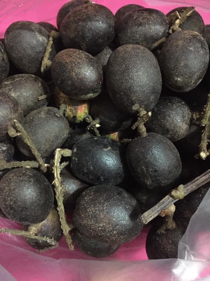 💜ต้นลำใยคริสตัล แปลกรสชาดลำใย+ลิ้นจี่ กลิ่นทุเรียน ต้นพร้อมปลูกให้ผลไว