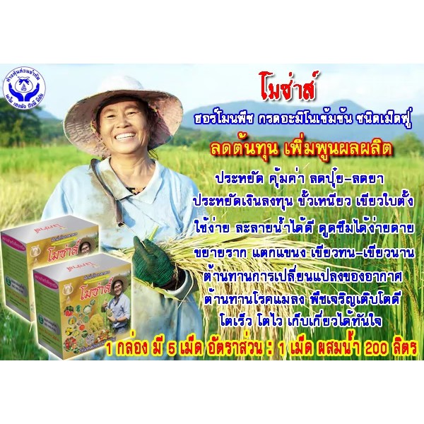 โมซ่าส์ อะมิโนจำเป็น ชนิดเม็ดฟู่