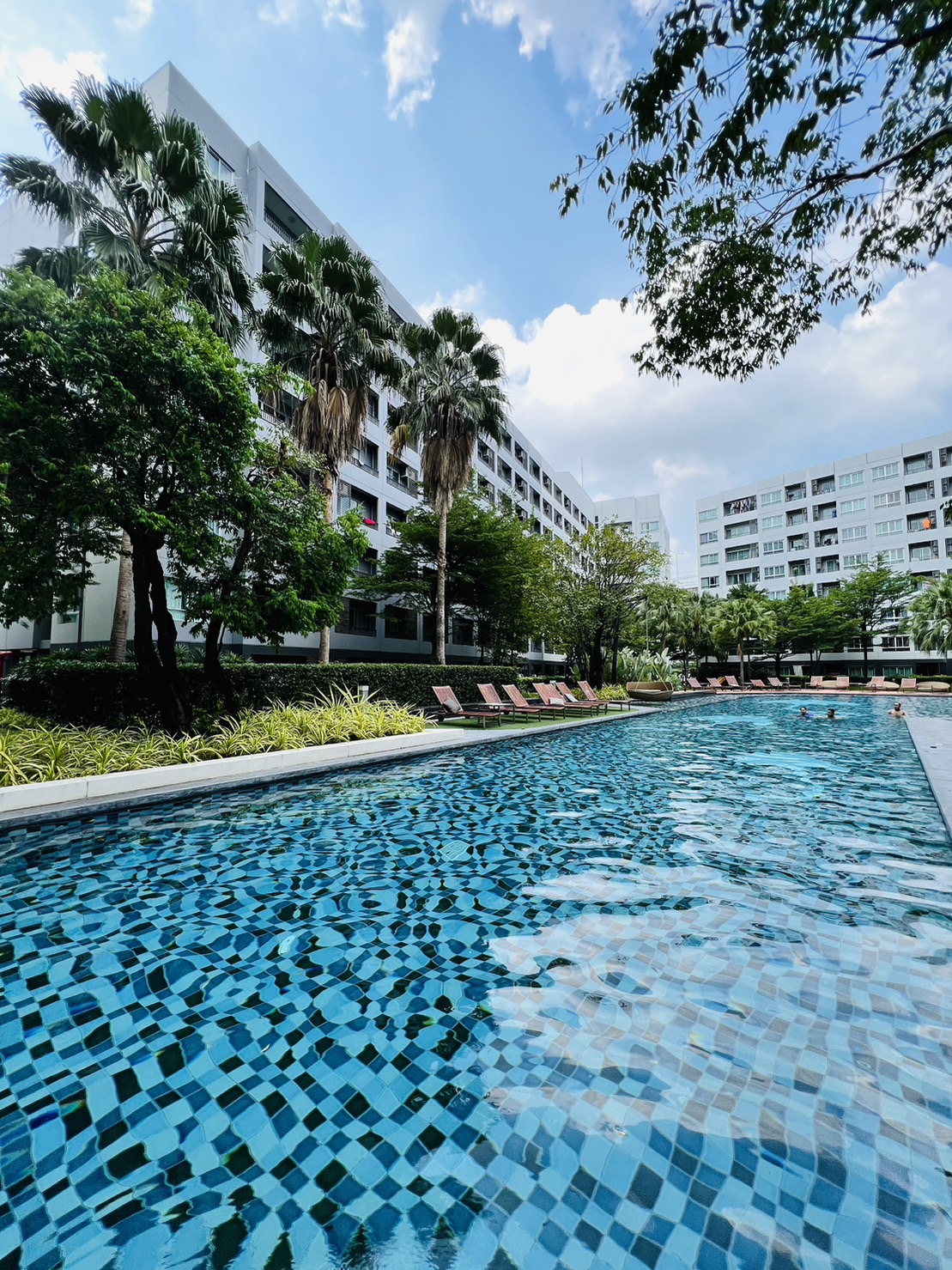 ขาย คอนโด Elio Del Ray (เอลิโอ เดล เรย์) สุขุมวิท 64 ชั้น 5 ตึก H