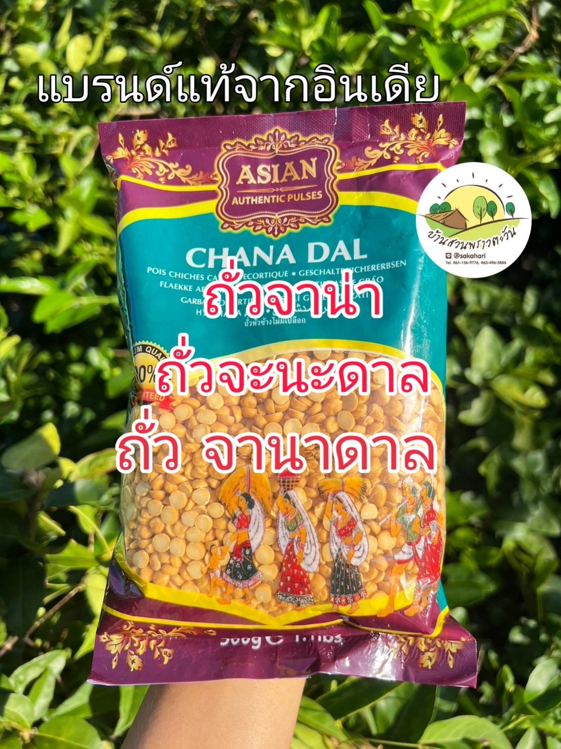 ถั่วจาน่า ถั่วจะนะดาล ถั่วจานาดาล 500 กรัม