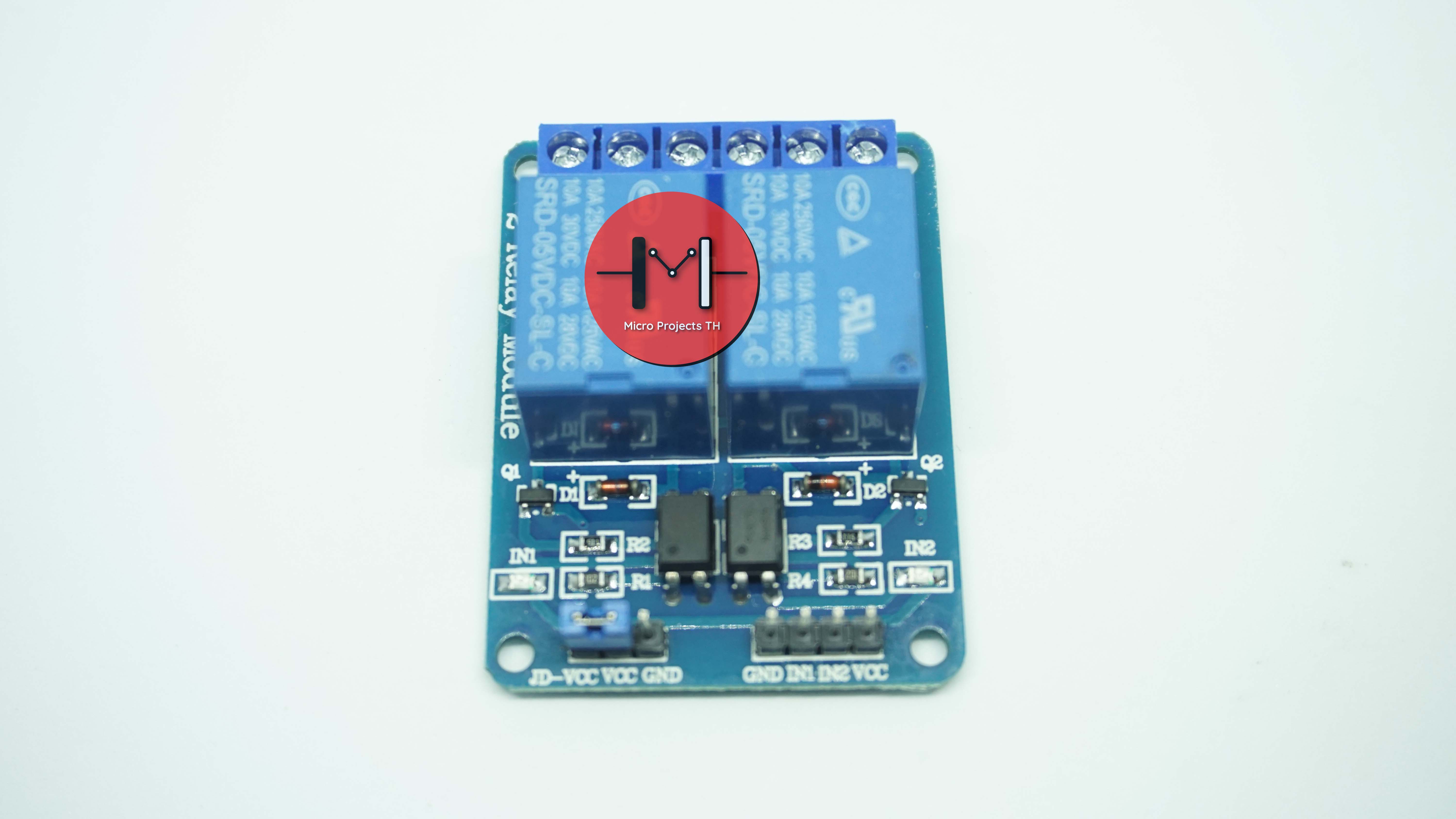 Module Relay 2 Channel 5V 250V/10A