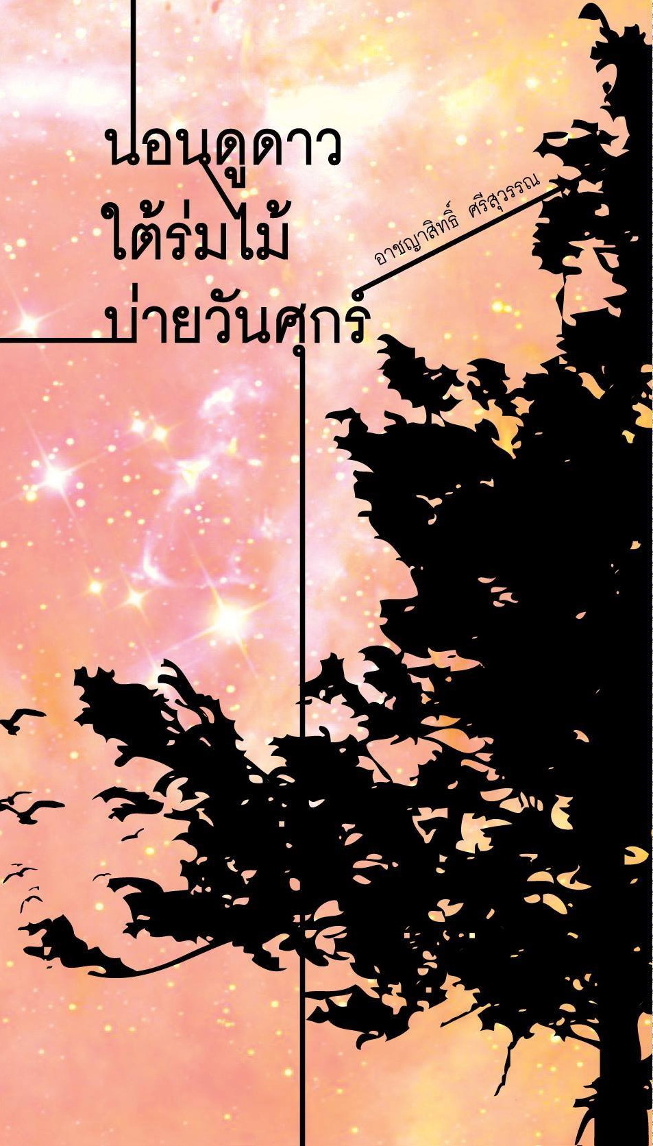 นอนดูดาว ใต้ร่มไม้ บ่ายวันศุกร์