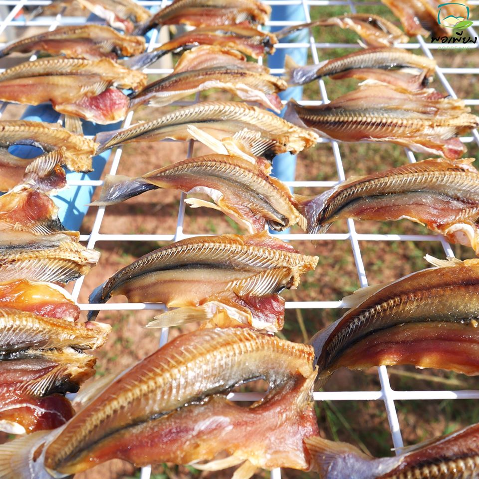 ปลาหัวโม่งแห้ง ครึ่งกิโล