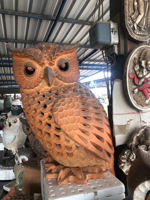 ครอบครัวนกฮูก